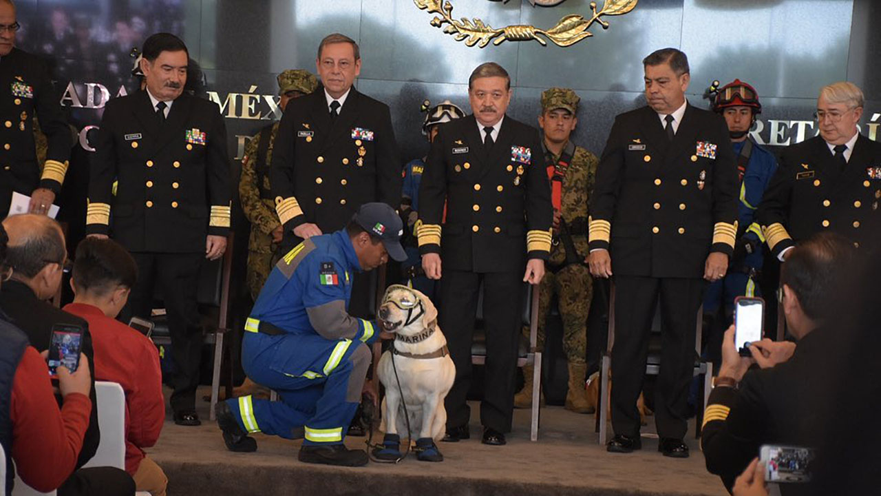 Perrita Frida se jubila